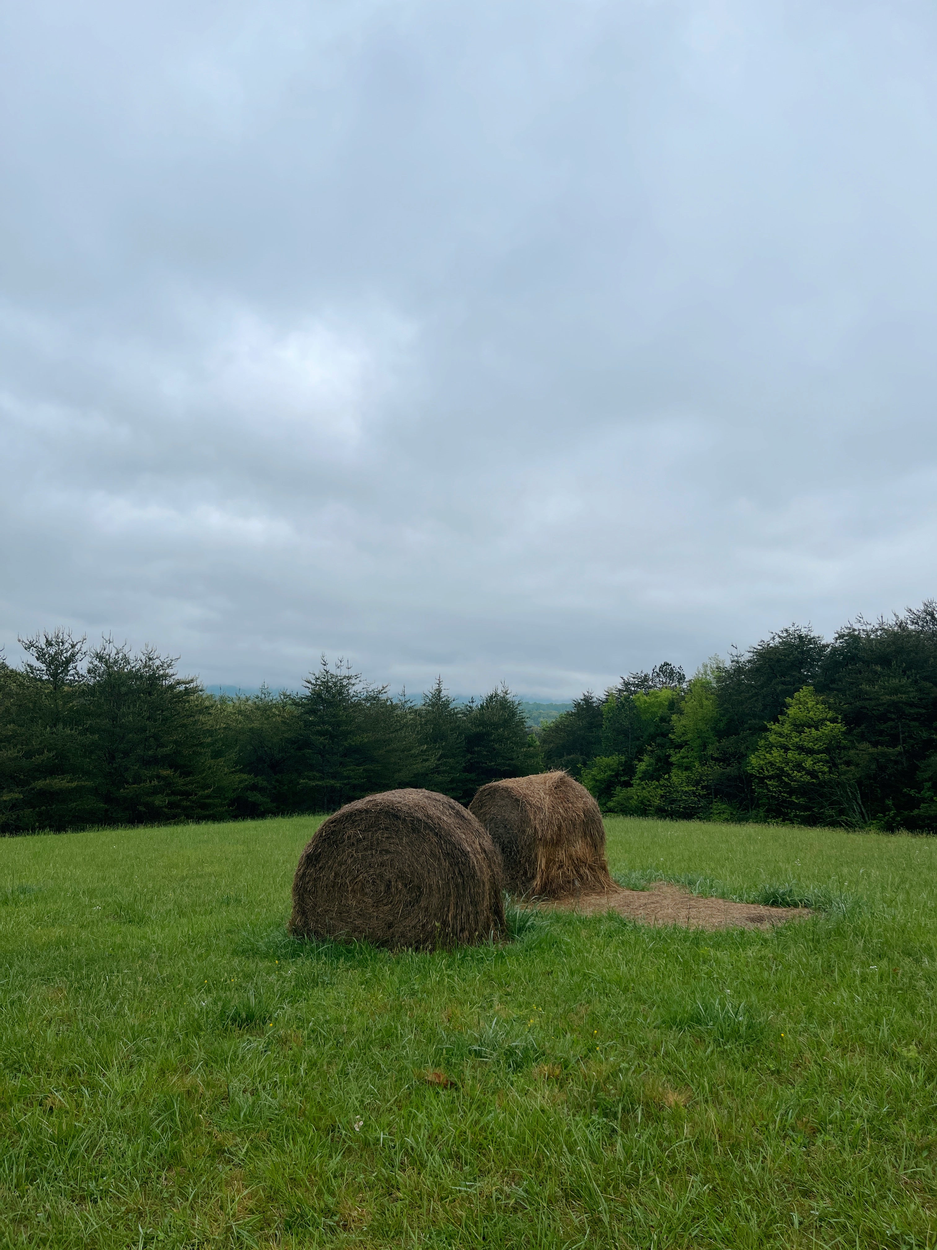 Two hay bales in a grassy field with a cloudy sky