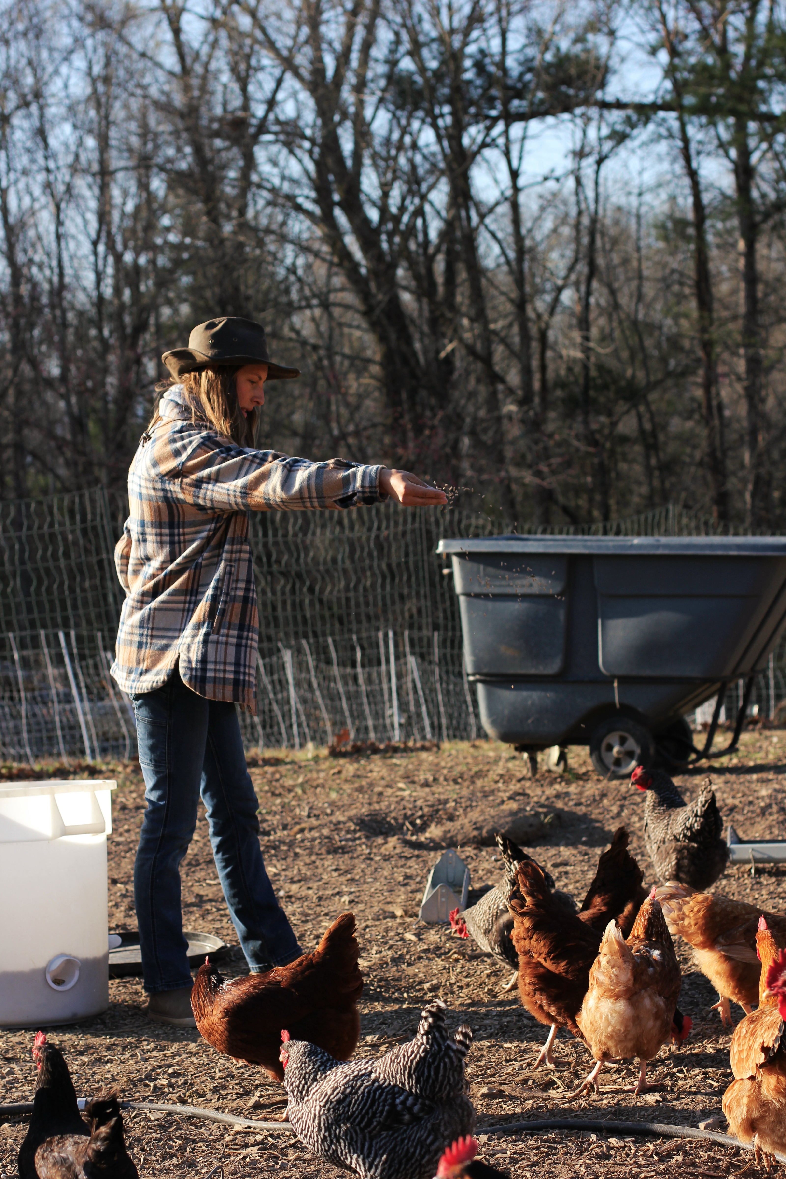 Woman feeding chickens in an outdoor setting with a wheelbarrow in the background