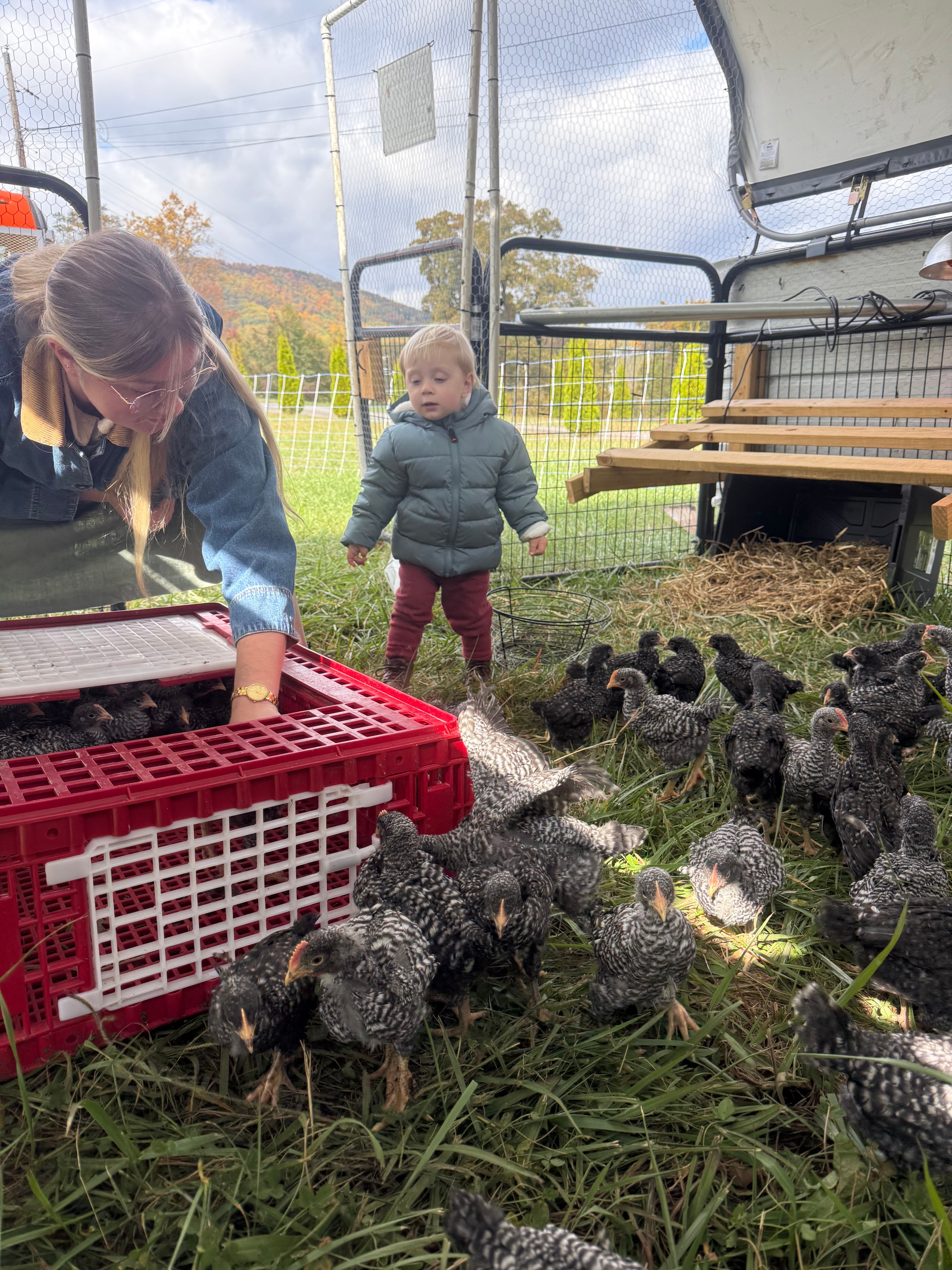Woman and child with chickens in a fenced area